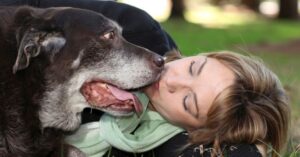 Cachorro idoso com sua tutora