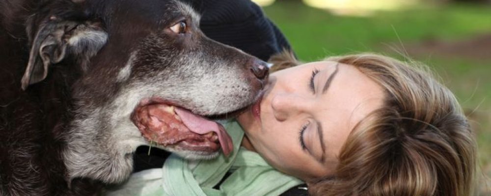 Cachorro idoso com sua tutora